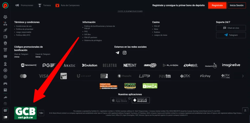 confirmación de Pin Up licencia